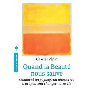 Charles Pépin - Quand la beauté nous sauve - poche