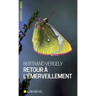 Bertrand Vergely - Retour à l'émerveillement