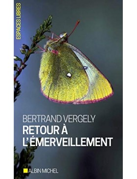 Bertrand Vergely - Retour à...
