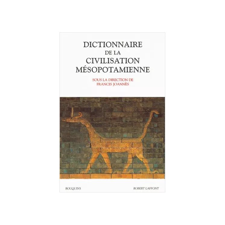 Collectif - DICTIONNAIRE DE LA CIVILISATION MÉSOPOTAMIENNE