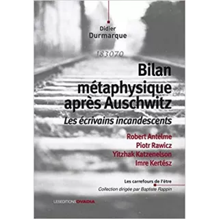 Didier Durmarque - Bilan métaphysique après Auschwitz